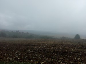 07.jpg
